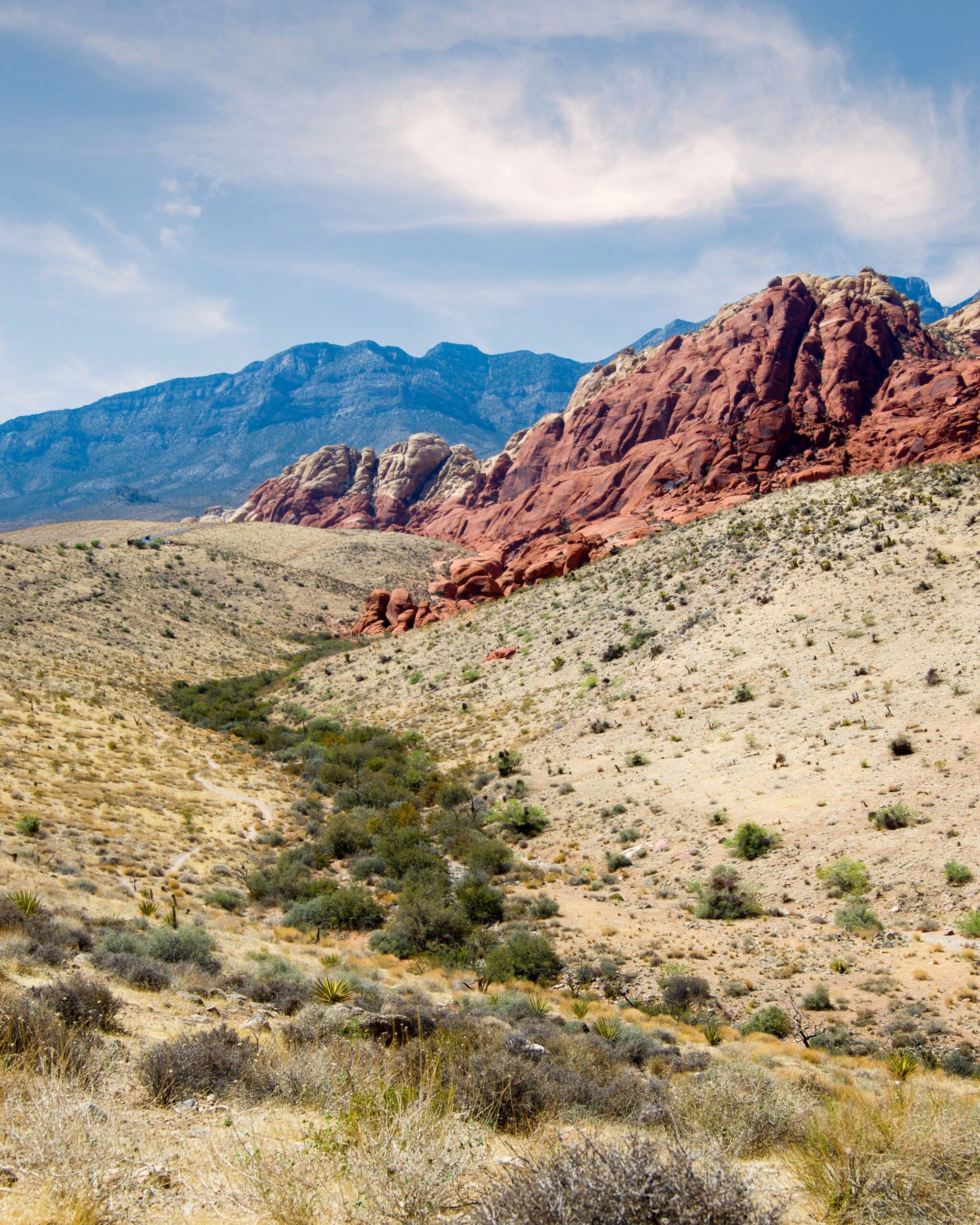 Wildland Seed Collections